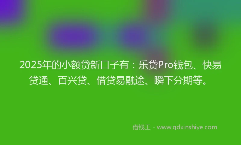 2025年的小额贷新口子有：乐贷Pro钱包、快易贷通、百兴贷、借贷易融途、瞬下分期等。