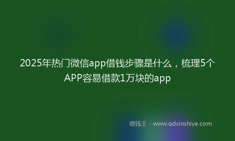 2025年热门微信app借钱步骤是什么，梳理5个APP容易借款1万块的app