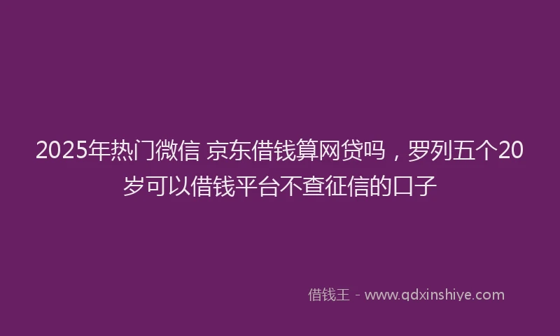 2025年热门微信 京东借钱算网贷吗，罗列五个20岁可以借钱平台不查征信的口子