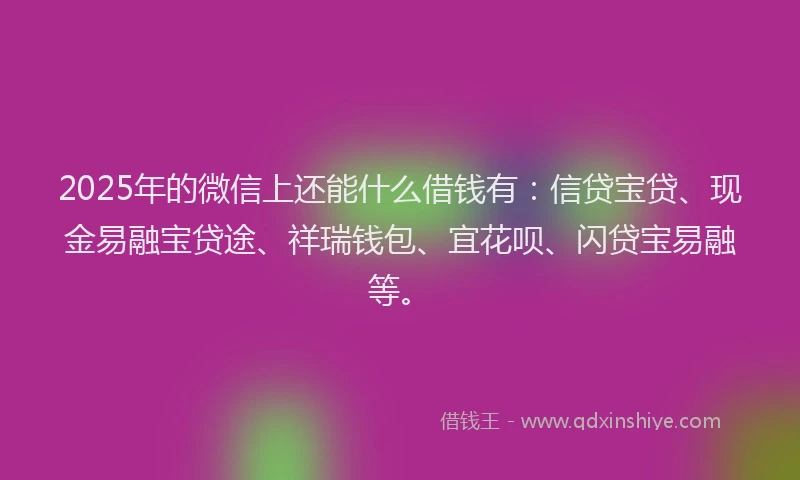 2025年的微信上还能什么借钱有：信贷宝贷、现金易融宝贷途、祥瑞钱包、宜花呗、闪贷宝易融等。
