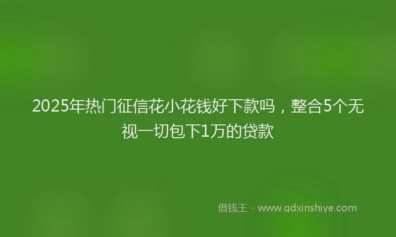 2025年热门征信花小花钱好下款吗，整合5个无视一切包下1万的贷款