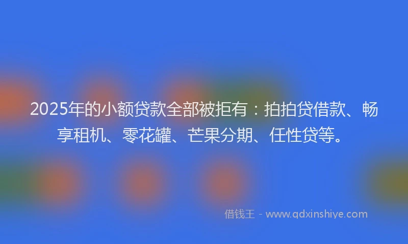 2025年的小额贷款全部被拒有：拍拍贷借款、畅享租机、零花罐、芒果分期、任性贷等。