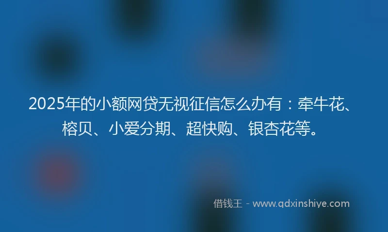 2025年的小额网贷无视征信怎么办有：牵牛花、榕贝、小爱分期、超快购、银杏花等。