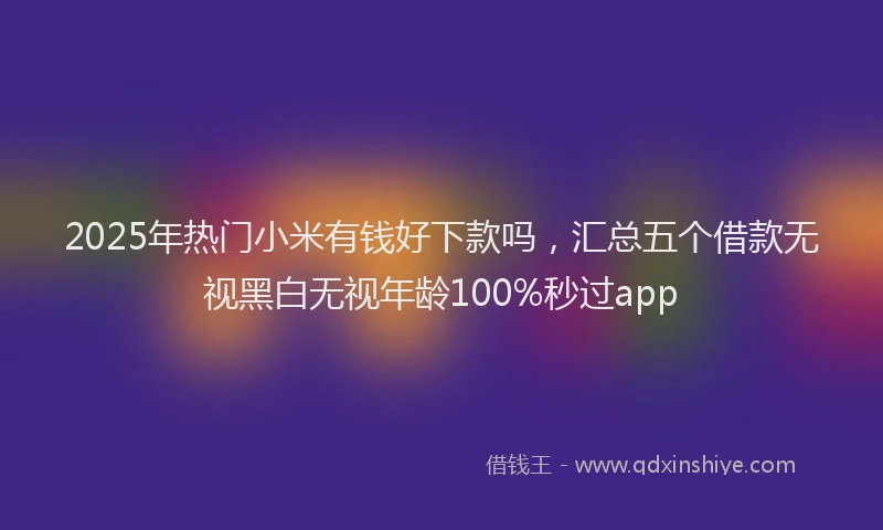 2025年热门小米有钱好下款吗，汇总五个借款无视黑白无视年龄100%秒过app