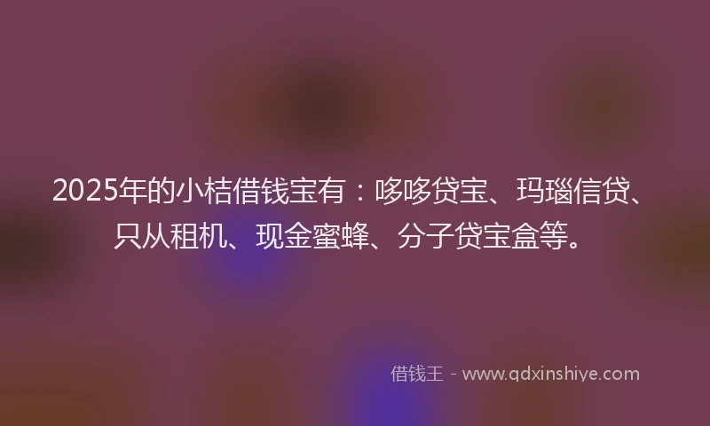 2025年的小桔借钱宝有：哆哆贷宝、玛瑙信贷、只从租机、现金蜜蜂、分子贷宝盒等。