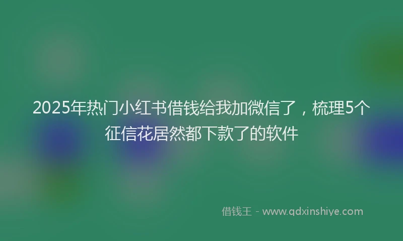 2025年热门小红书借钱给我加微信了，梳理5个征信花居然都下款了的软件