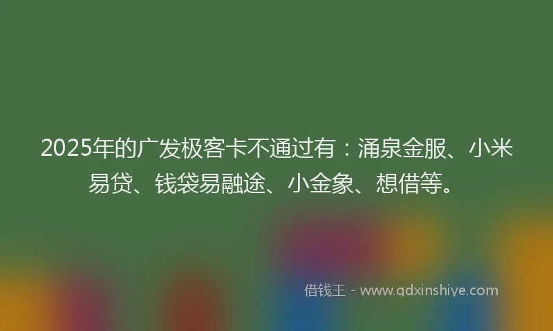 2025年的广发极客卡不通过有：涌泉金服、小米易贷、钱袋易融途、小金象、想借等。