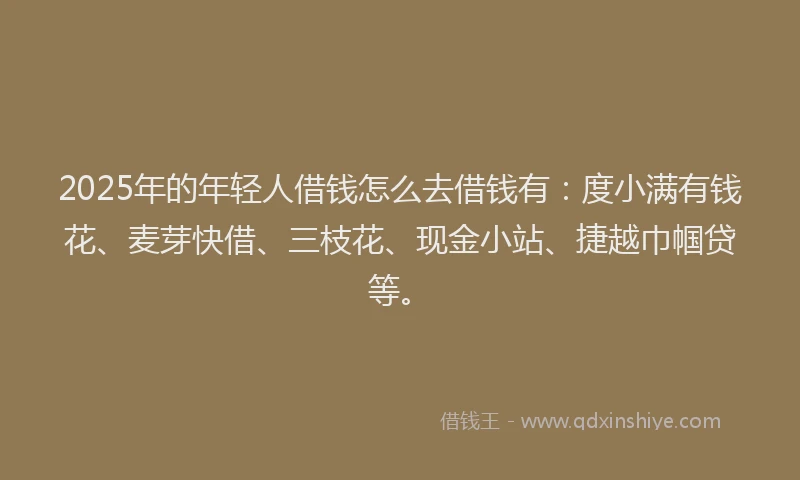 2025年的年轻人借钱怎么去借钱有：度小满有钱花、麦芽快借、三枝花、现金小站、捷越巾帼贷等。