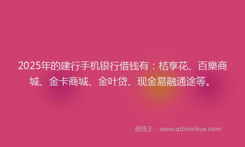 2025年的建行手机银行借钱有：桔享花、百樂商城、金卡商城、金叶贷、现金易融通途等。