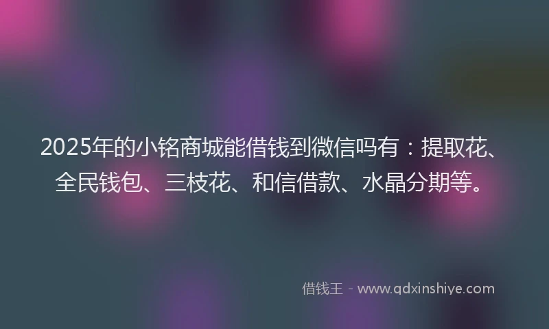 2025年的小铭商城能借钱到微信吗有：提取花、全民钱包、三枝花、和信借款、水晶分期等。