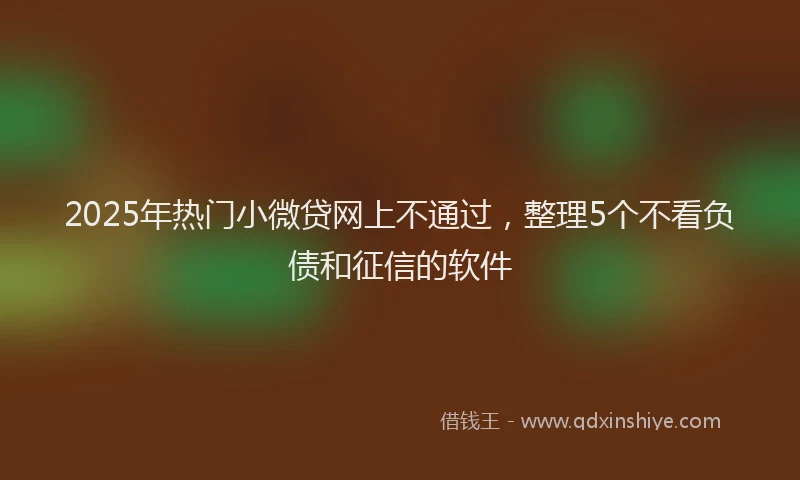 2025年热门小微贷网上不通过，整理5个不看负债和征信的软件