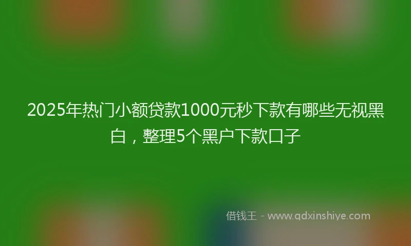 2025年热门小额贷款1000元秒下款有哪些无视黑白，整理5个黑户下款口子