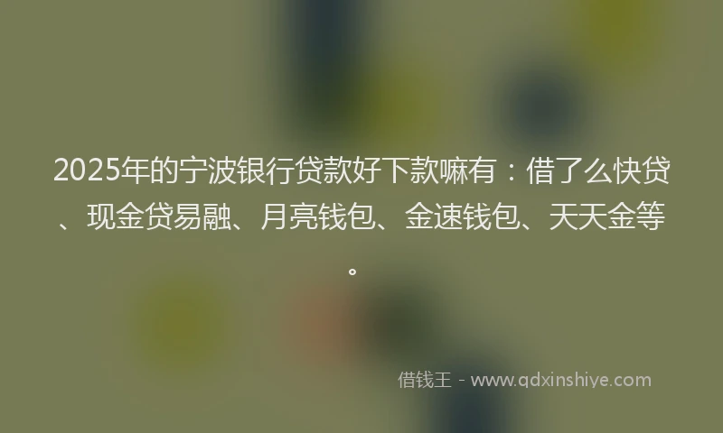 2025年的宁波银行贷款好下款嘛有：借了么快贷、现金贷易融、月亮钱包、金速钱包、天天金等。