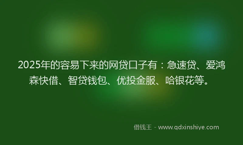 2025年的容易下来的网贷口子有：急速贷、爱鸿森快借、智贷钱包、优投金服、哈银花等。