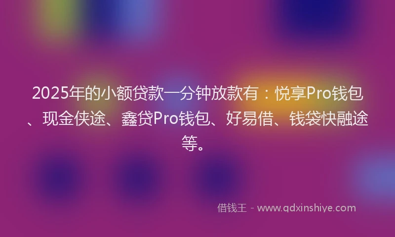 2025年的小额贷款一分钟放款有：悦享Pro钱包、现金侠途、鑫贷Pro钱包、好易借、钱袋快融途等。