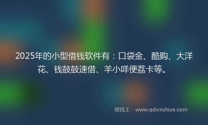2025年的小型借钱软件有：口袋金、酷购、大洋花、钱鼓鼓速借、羊小咩便荔卡等。