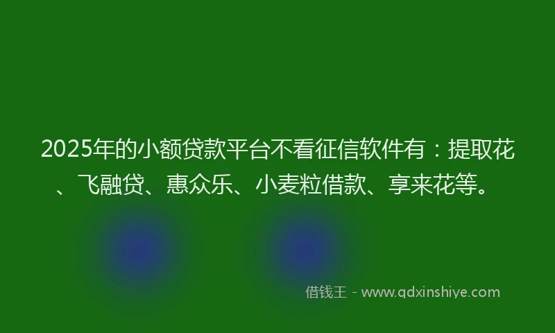 2025年的小额贷款平台不看征信软件有：提取花、飞融贷、惠众乐、小麦粒借款、享来花等。
