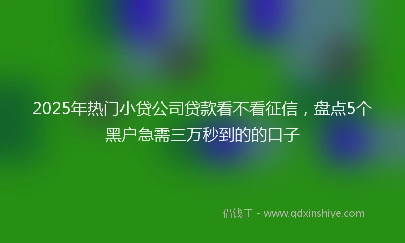 2025年热门小贷公司贷款看不看征信，盘点5个黑户急需三万秒到的的口子