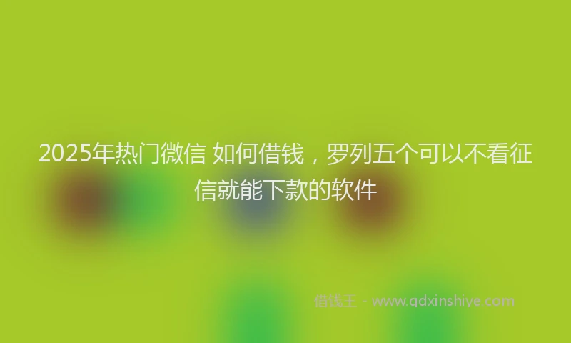 2025年热门微信 如何借钱，罗列五个可以不看征信就能下款的软件