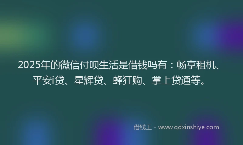 2025年的微信付呗生活是借钱吗有：畅享租机、平安i贷、星辉贷、蜂狂购、掌上贷通等。