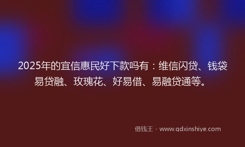 2025年的宜信惠民好下款吗有：维信闪贷、钱袋易贷融、玫瑰花、好易借、易融贷通等。