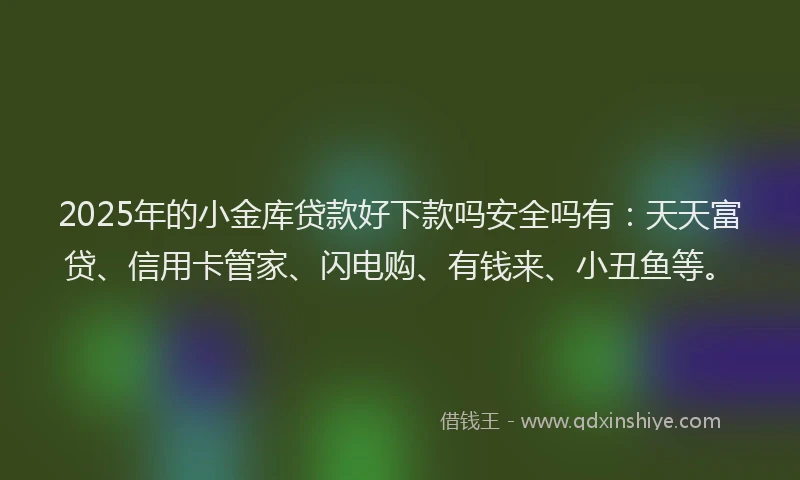 2025年的小金库贷款好下款吗安全吗有：天天富贷、信用卡管家、闪电购、有钱来、小丑鱼等。