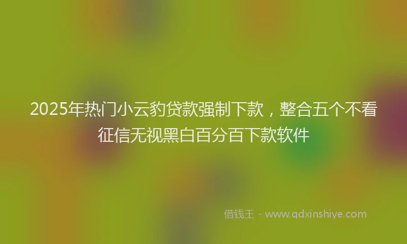 2025年热门小云豹贷款强制下款，整合五个不看征信无视黑白百分百下款软件