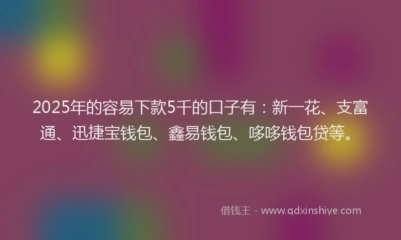 2025年的容易下款5千的口子有：新一花、支富通、迅捷宝钱包、鑫易钱包、哆哆钱包贷等。