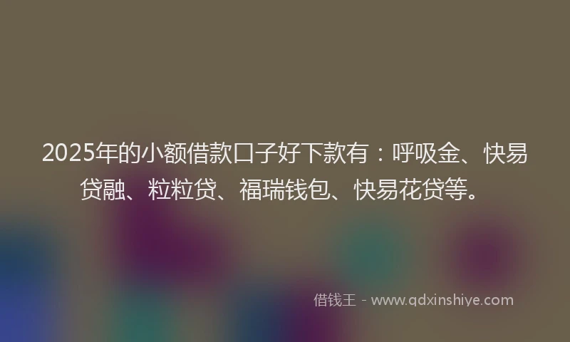 2025年的小额借款口子好下款有：呼吸金、快易贷融、粒粒贷、福瑞钱包、快易花贷等。