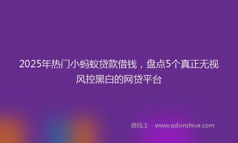 2025年热门小蚂蚁贷款借钱，盘点5个真正无视风控黑白的网贷平台