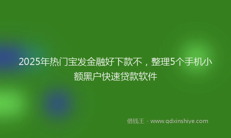 2025年热门宝发金融好下款不，整理5个手机小额黑户快速贷款软件
