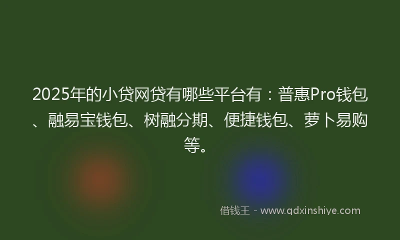 2025年的小贷网贷有哪些平台有：普惠Pro钱包、融易宝钱包、树融分期、便捷钱包、萝卜易购等。