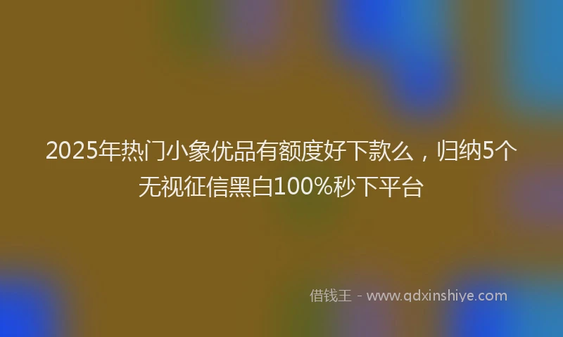 2025年热门小象优品有额度好下款么，归纳5个无视征信黑白100%秒下平台
