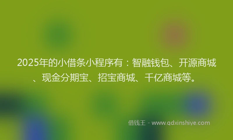 2025年的小借条小程序有：智融钱包、开源商城、现金分期宝、招宝商城、千亿商城等。