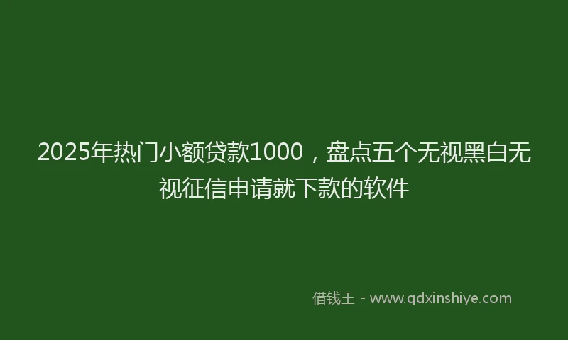 2025年热门小额贷款1000，盘点五个无视黑白无视征信申请就下款的软件