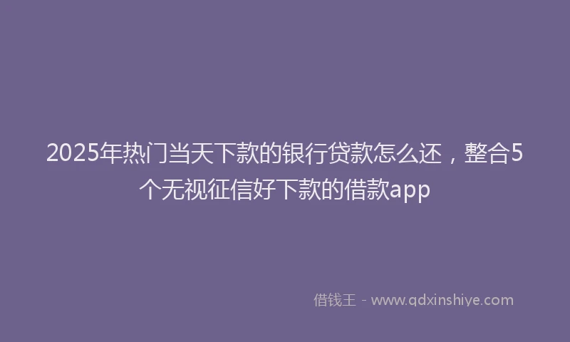 2025年热门当天下款的银行贷款怎么还，整合5个无视征信好下款的借款app