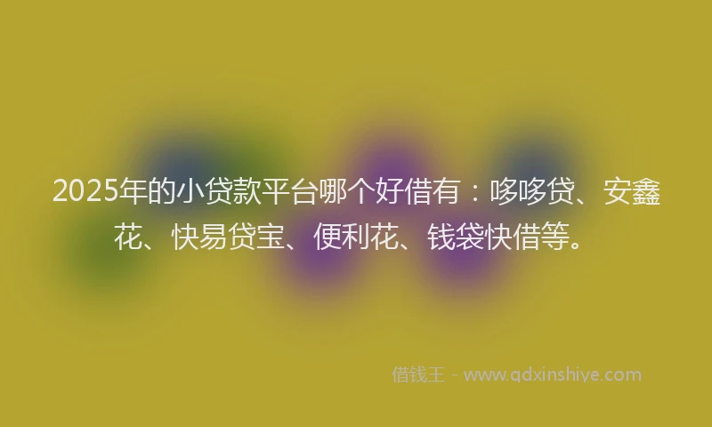 2025年的小贷款平台哪个好借有：哆哆贷、安鑫花、快易贷宝、便利花、钱袋快借等。
