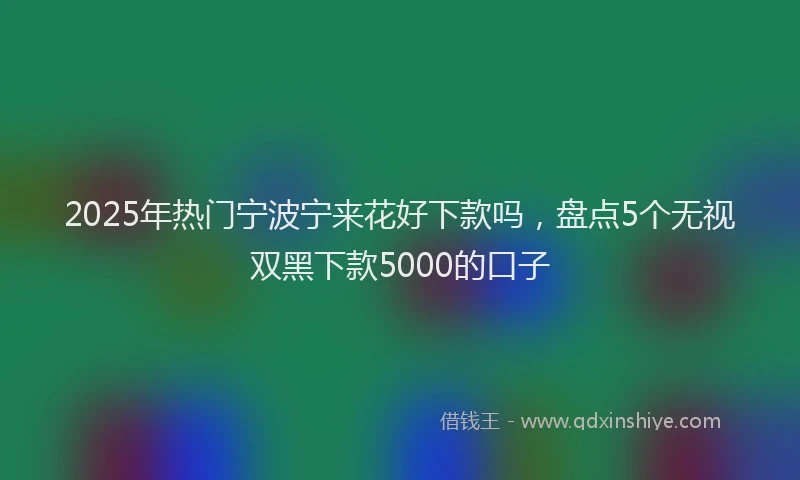 2025年热门宁波宁来花好下款吗，盘点5个无视双黑下款5000的口子