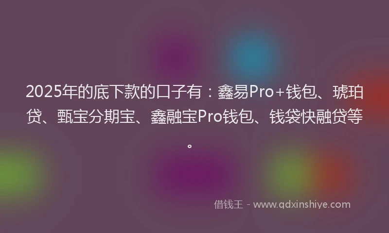 2025年的底下款的口子有：鑫易Pro+钱包、琥珀贷、甄宝分期宝、鑫融宝Pro钱包、钱袋快融贷等。