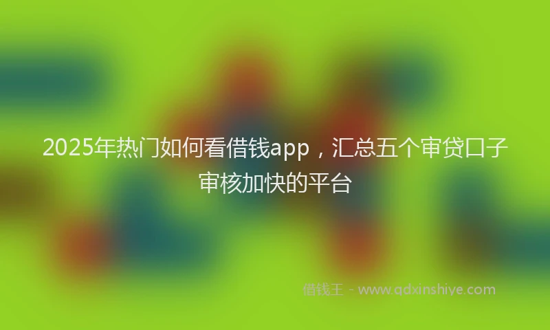 2025年热门如何看借钱app，汇总五个审贷口子审核加快的平台