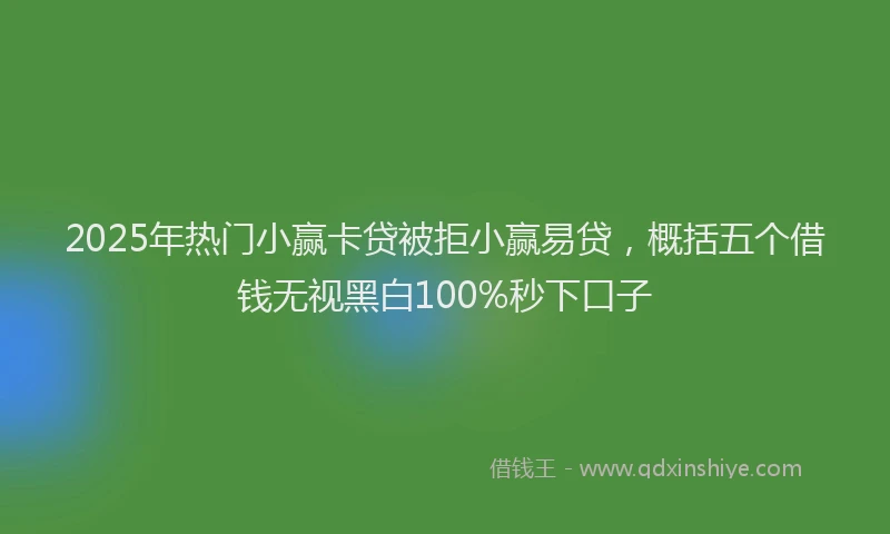 2025年热门小赢卡贷被拒小赢易贷，概括五个借钱无视黑白100%秒下口子