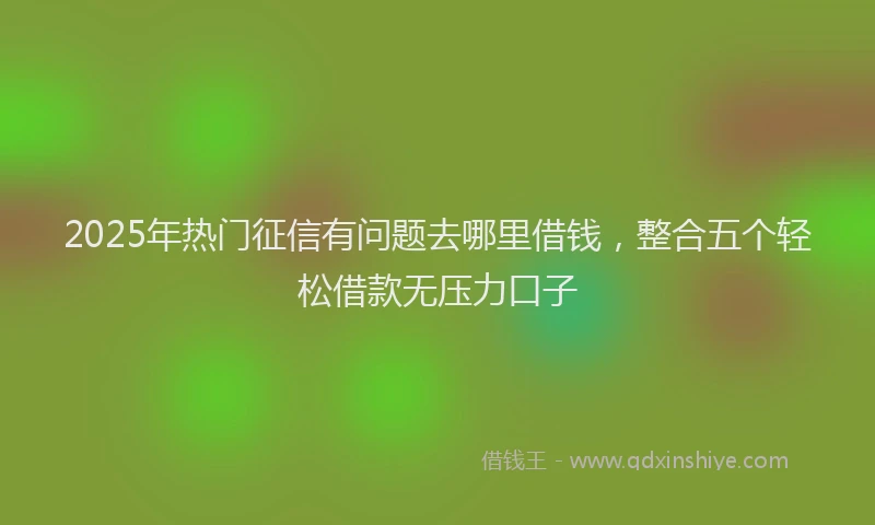 2025年热门征信有问题去哪里借钱，整合五个轻松借款无压力口子