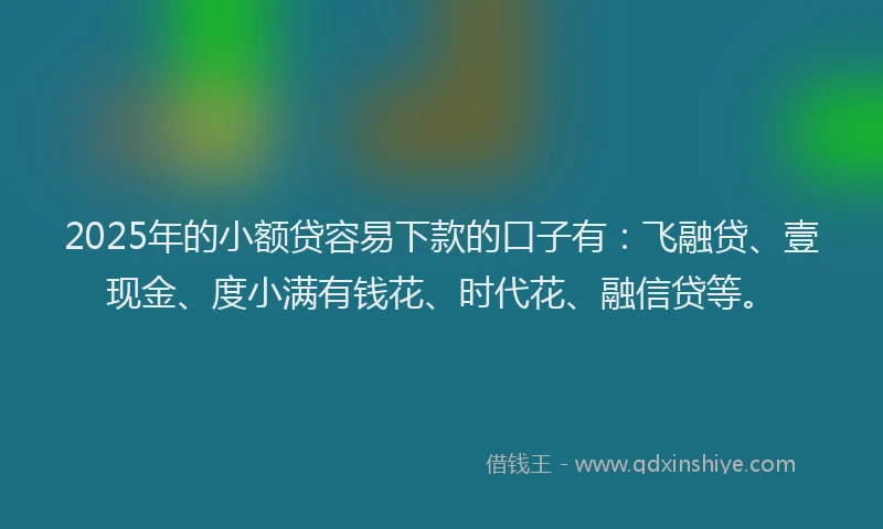 2025年的小额贷容易下款的口子有：飞融贷、壹现金、度小满有钱花、时代花、融信贷等。
