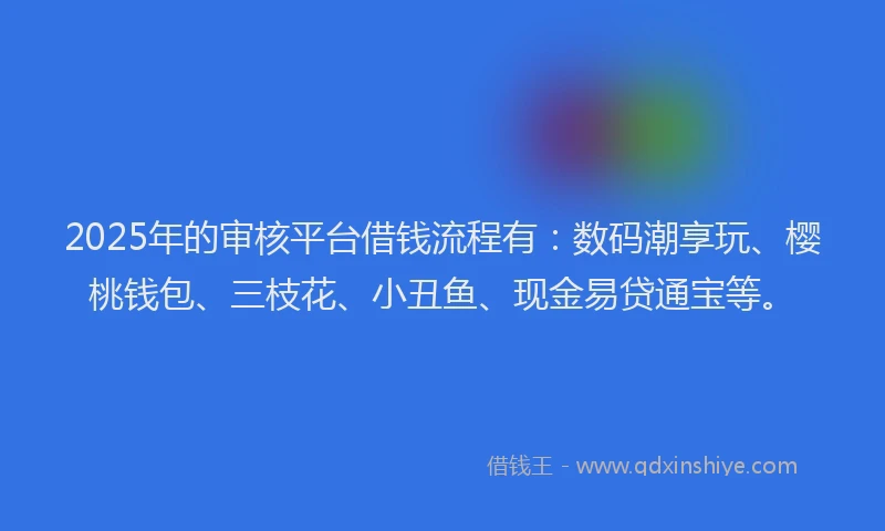 2025年的审核平台借钱流程有:数码潮享玩、樱桃钱包、三枝花、小丑鱼、现金易贷通宝等。