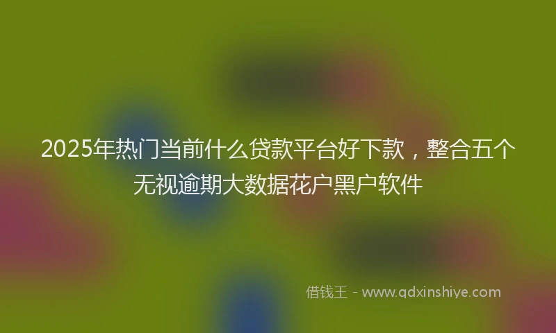 2025年热门当前什么贷款平台好下款，整合五个无视逾期大数据花户黑户软件