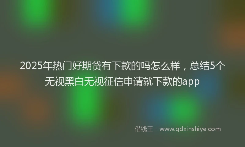2025年热门好期贷有下款的吗怎么样，总结5个无视黑白无视征信申请就下款的app
