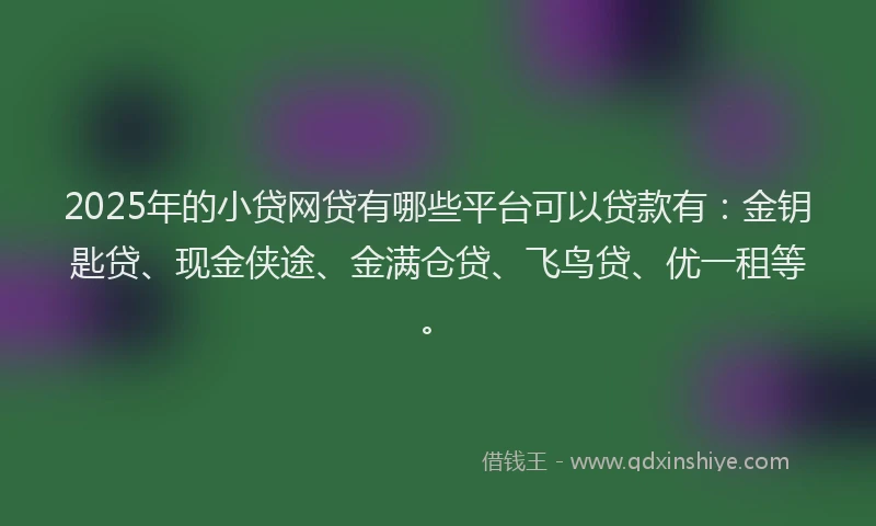 2025年的小贷网贷有哪些平台可以贷款有：金钥匙贷、现金侠途、金满仓贷、飞鸟贷、优一租等。