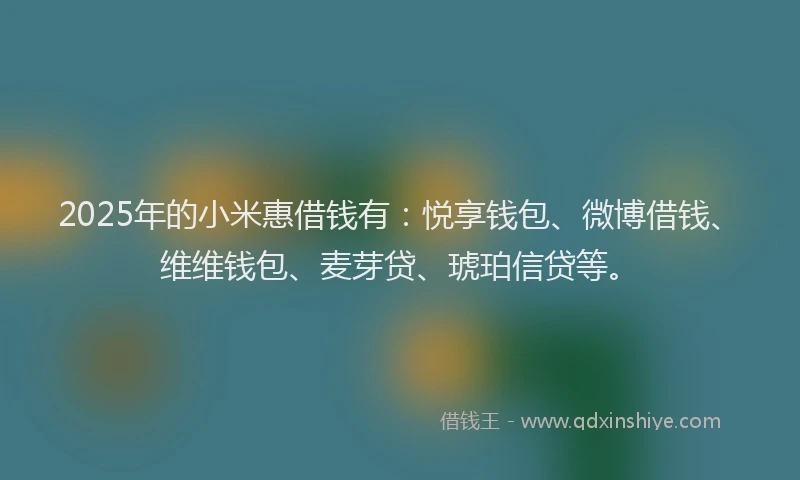 2025年的小米惠借钱有：悦享钱包、微博借钱、维维钱包、麦芽贷、琥珀信贷等。