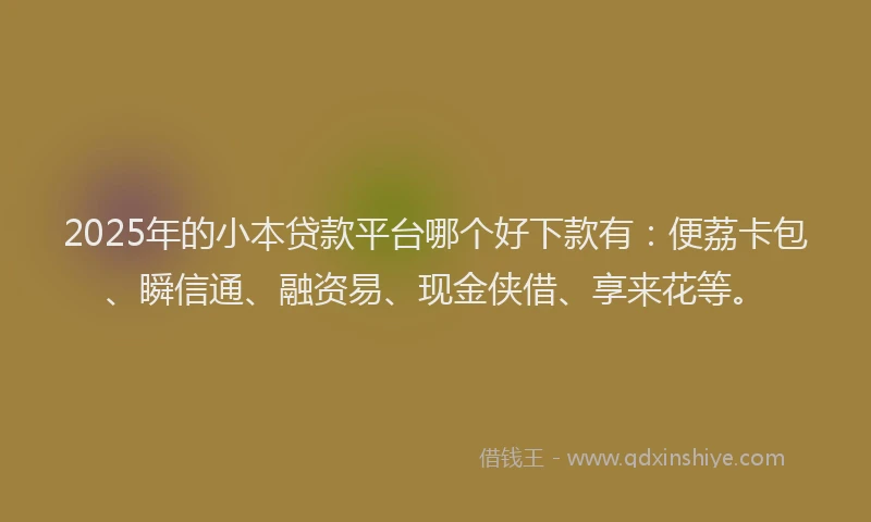 2025年的小本贷款平台哪个好下款有：便荔卡包、瞬信通、融资易、现金侠借、享来花等。