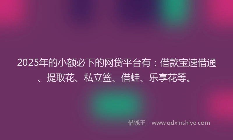2025年的小额必下的网贷平台有：借款宝速借通、提取花、私立签、借蛙、乐享花等。